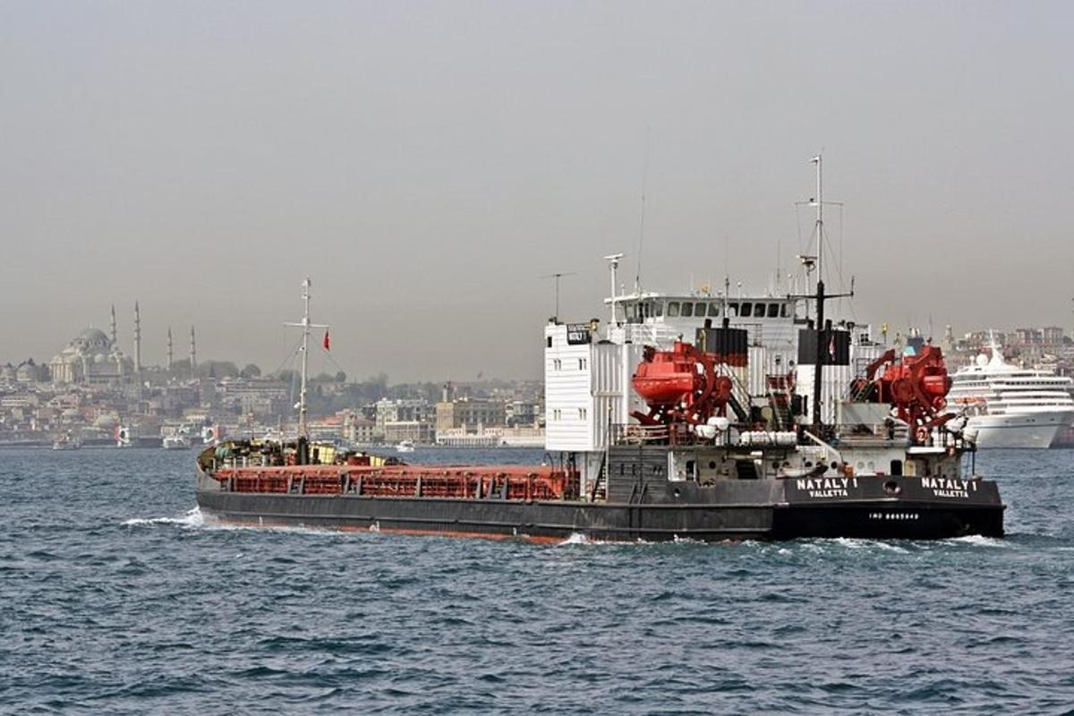 Un gran barco en el agua con un crucero.