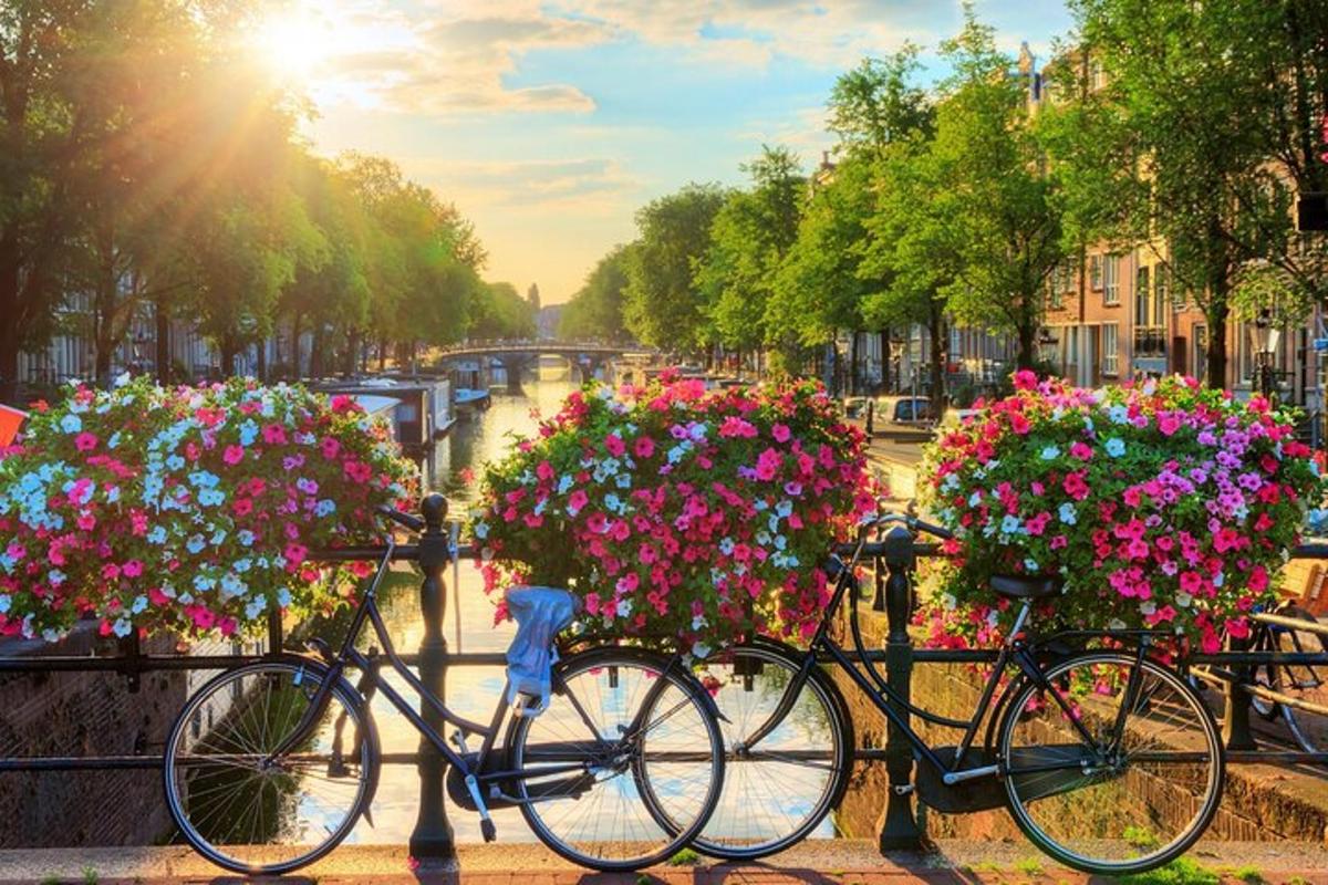 due biciclette parcheggiate accanto a una recinzione con fiori
