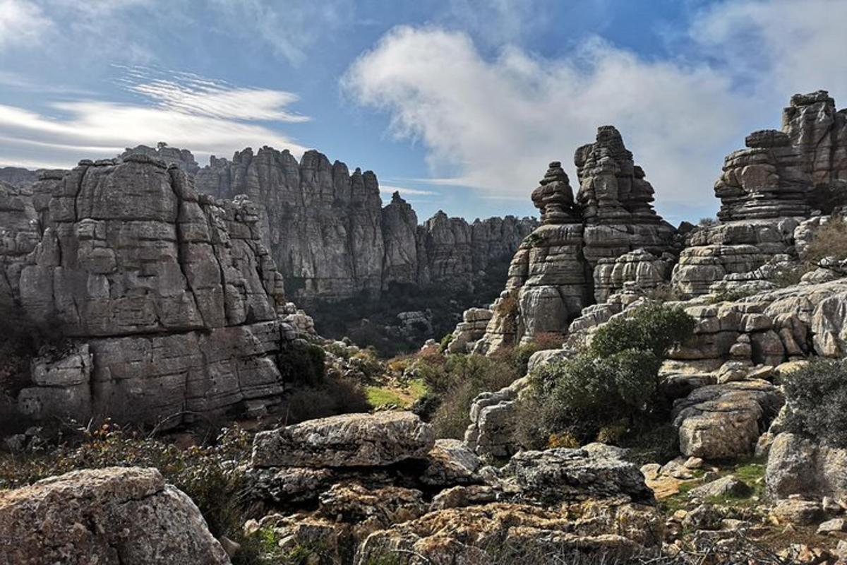 Lankytinos vietos ar pramogos nuotrauka numeris 5