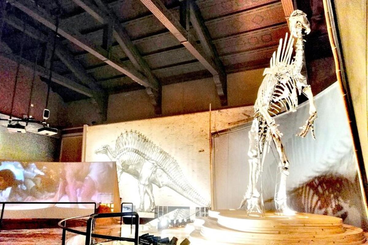 uno scheletro di dinosauro esposto in un museo