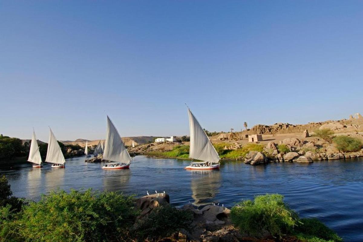 a group of sailboats floating on a river