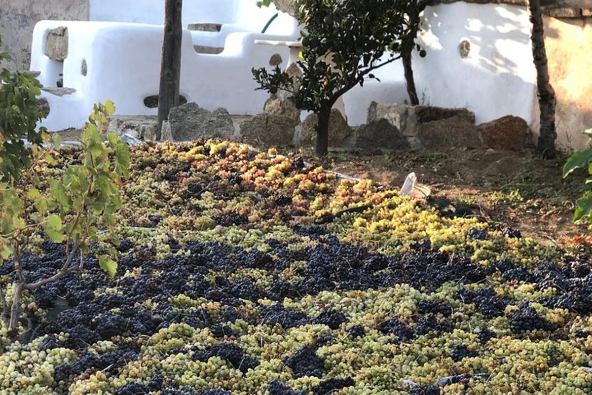 Lankytinos vietos ar pramogos nuotrauka numeris 7