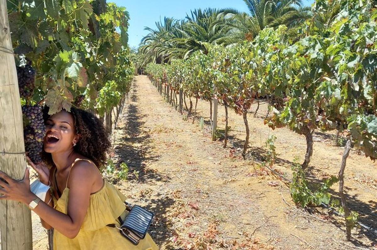 una ragazza con un vestito giallo in piedi accanto a una fila di alberi
