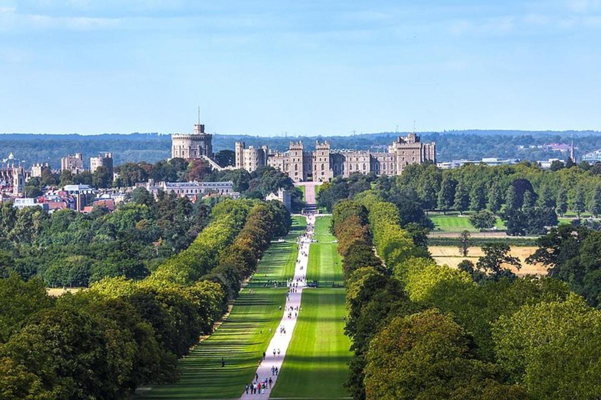 una vista di un parco con alberi ed edifici