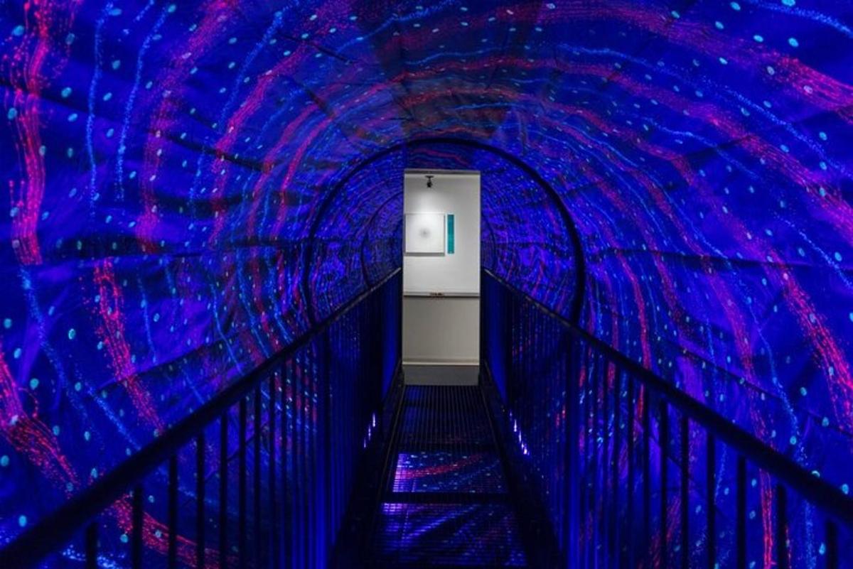 lorong dengan terowong dengan lampu biru dan ungu