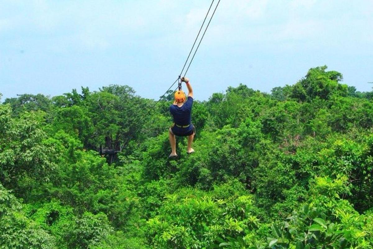 muž se projíždí stromy na zipline
