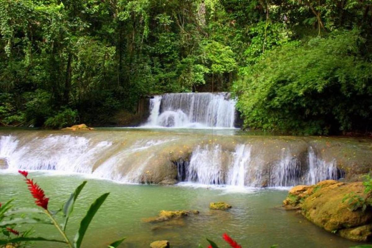 air terjun di tengah-tengah hutan