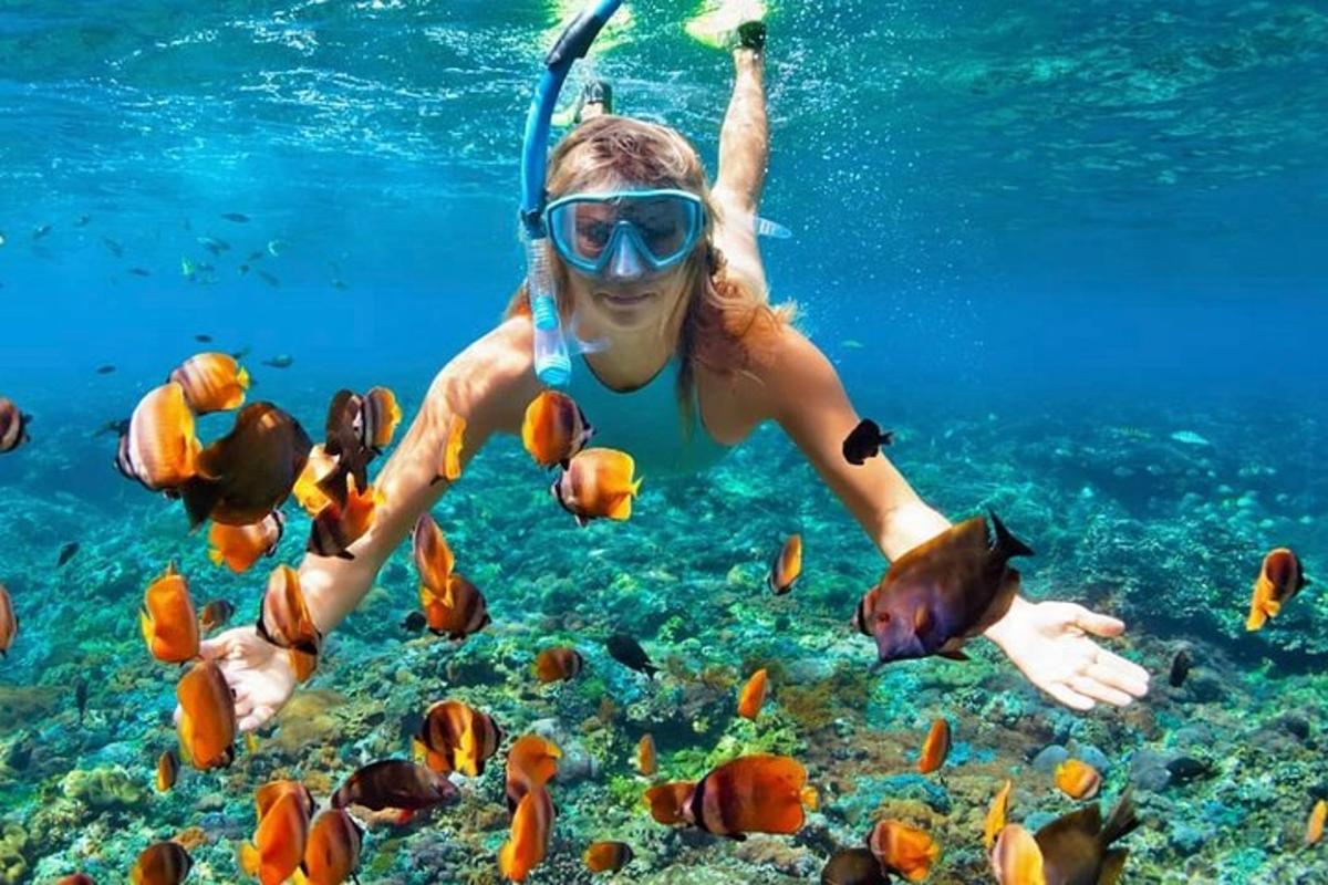 una donna nell'oceano che guarda i pesci