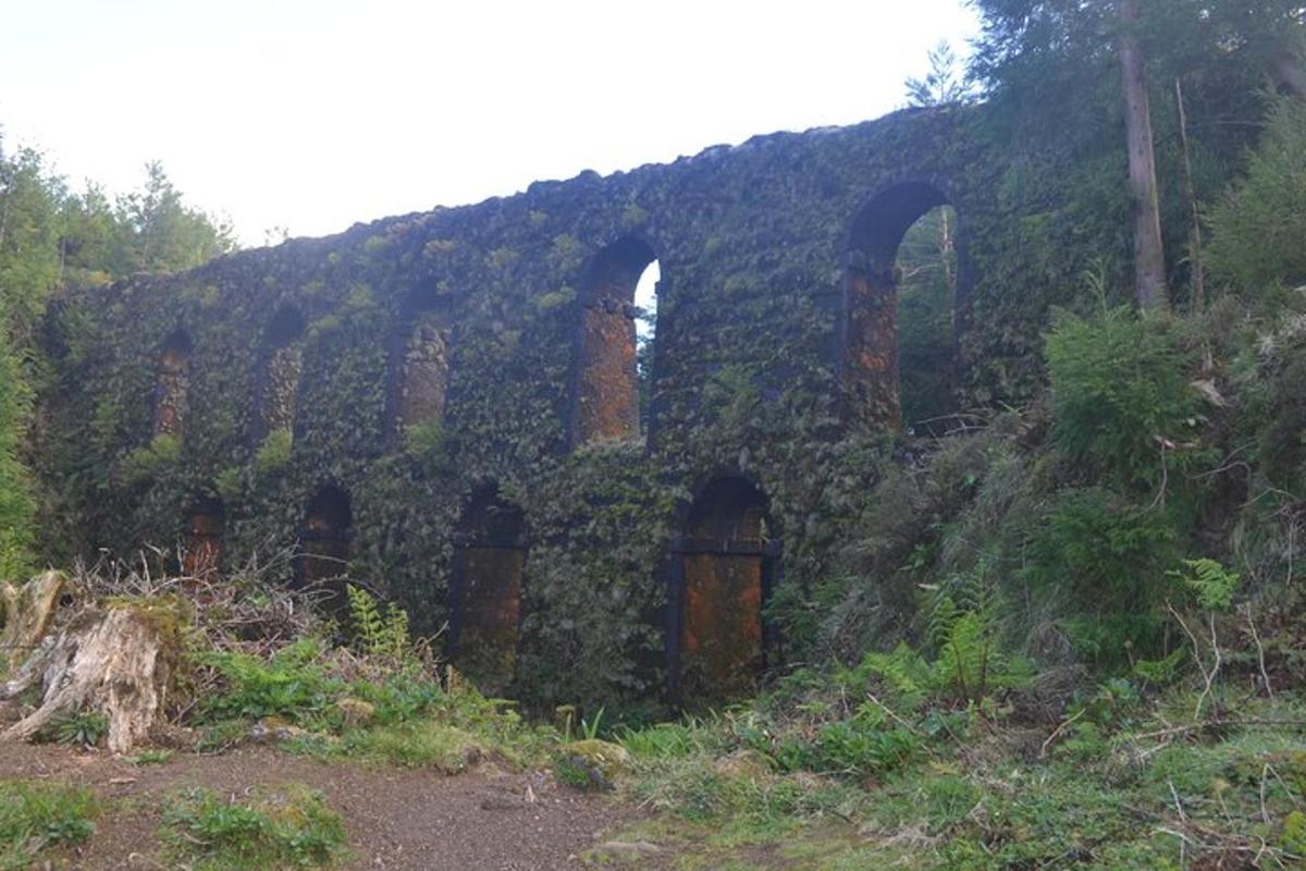un edificio cubierto de hiedra en una colina