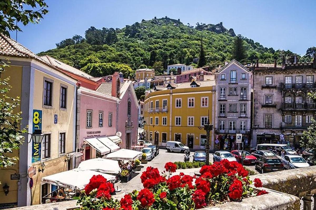 pohled na město s budovami a květinami