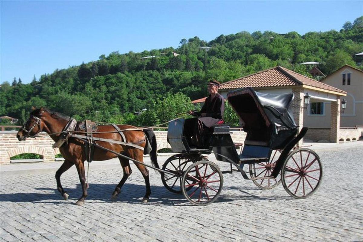 moški, ki se vozi v kočiji s konjsko vprego