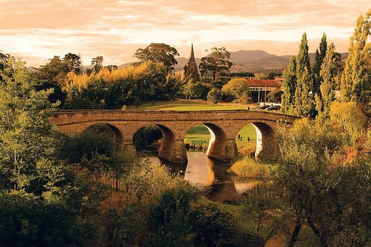 un pont sobre un riu en un poble amb arbres