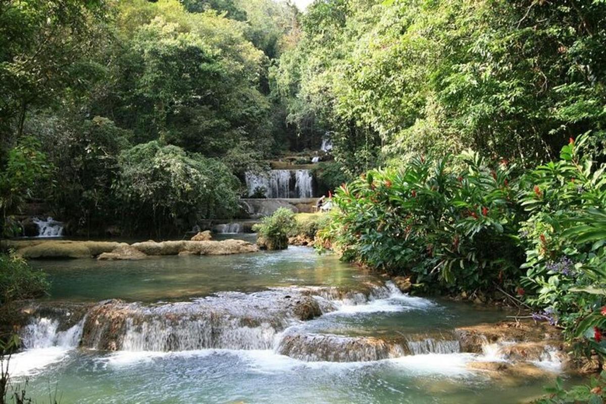 ένας καταρράκτης στη μέση ενός ποταμού με δέντρα