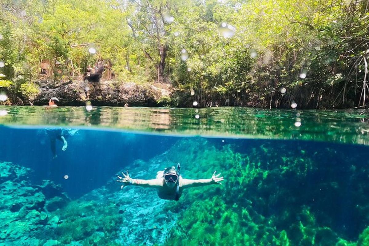 osoba plavající ve vodě v oceánu
