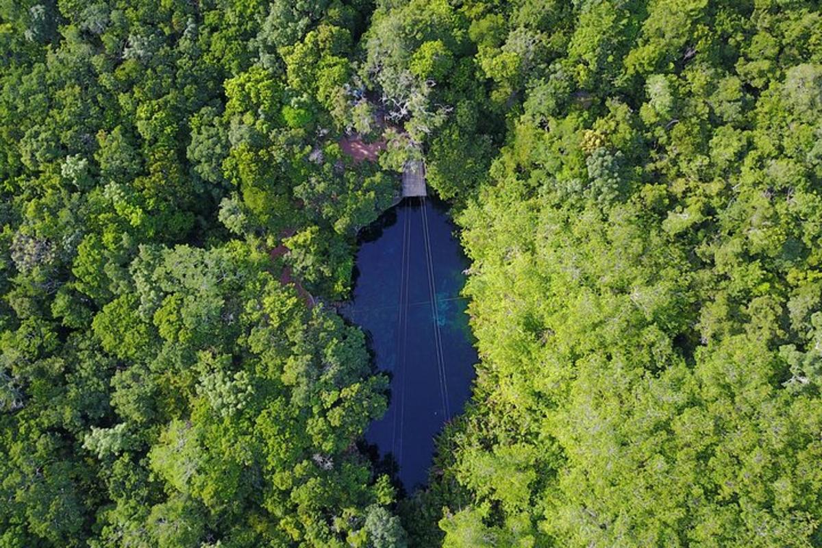 Una vista aérea de un lago en medio de un bosque.