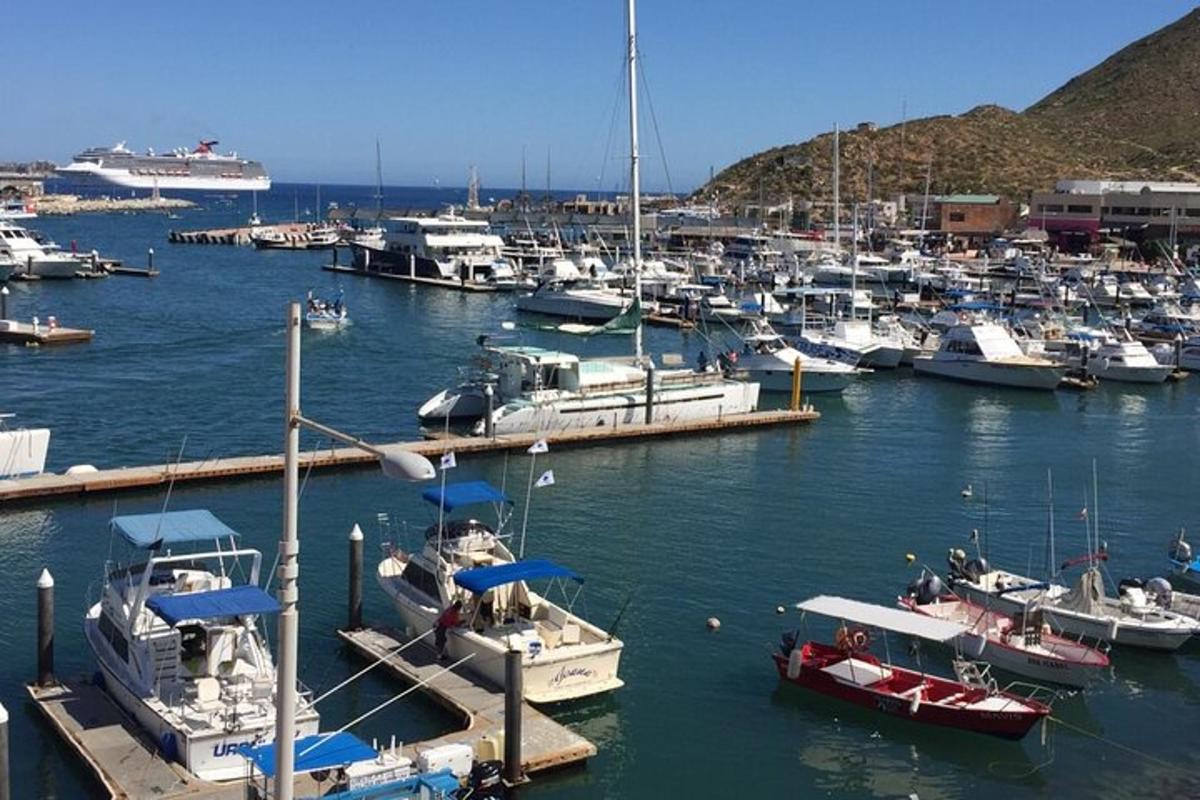 un gruppo di barche è attraccato in un porto