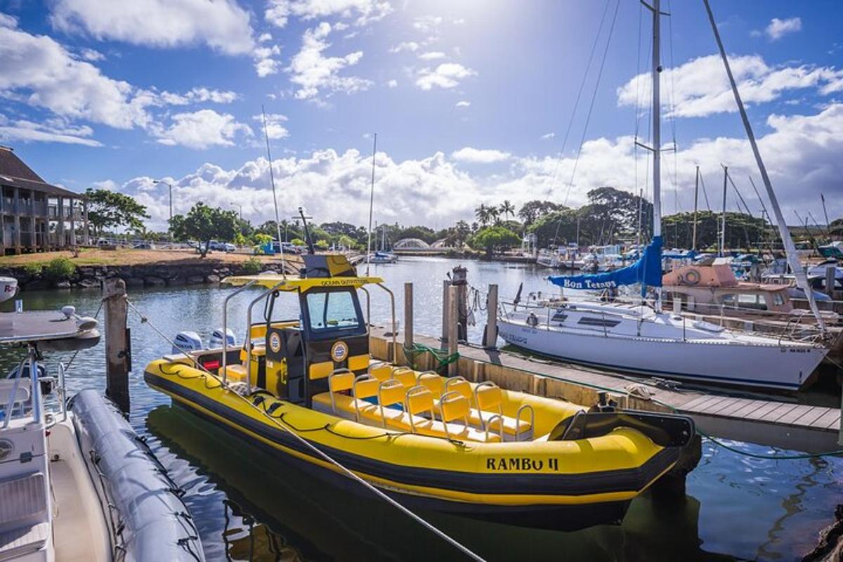 a yellow boat docked at a marina with other boats