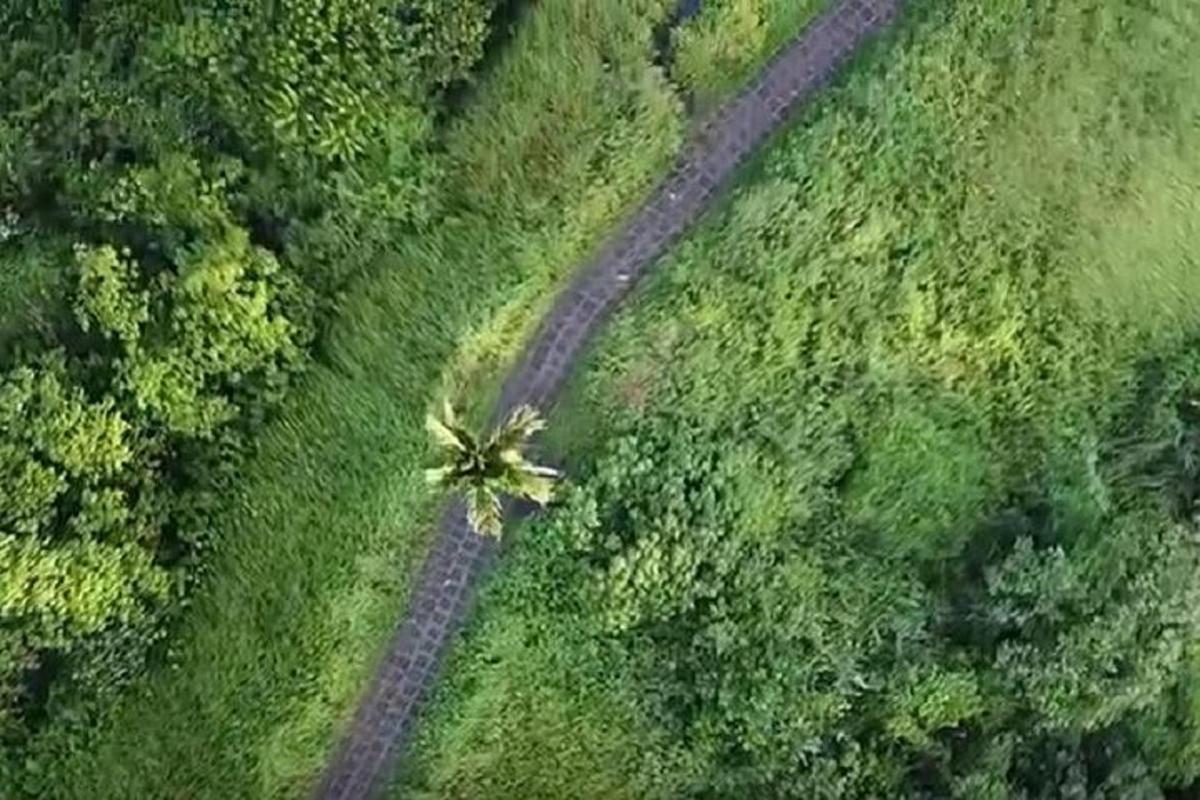 вид з повітря на поле з ґрунтовою дорогою