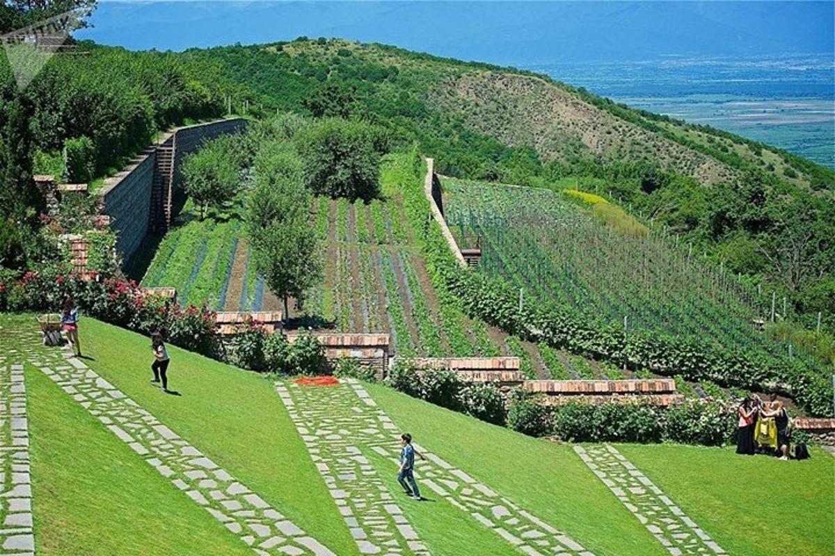 un gruppo di persone in piedi in un campo con una collina