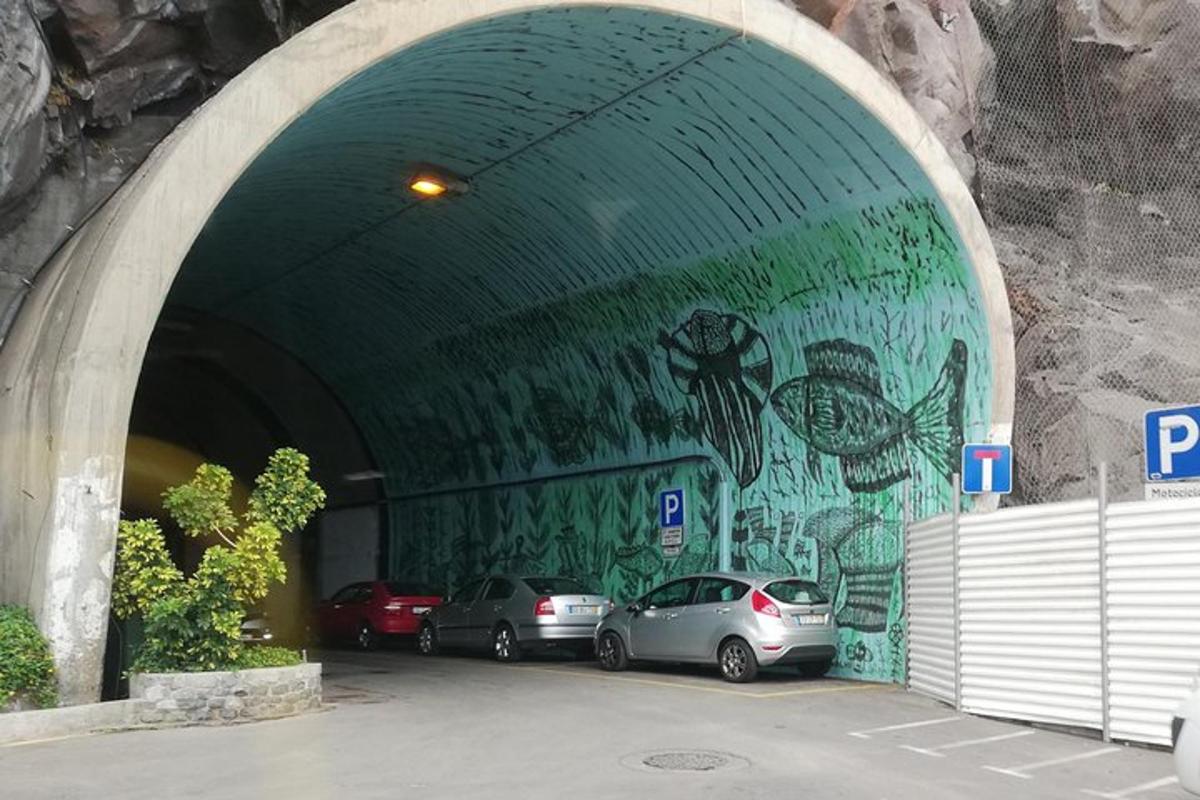 tunnel, mille seinamaalingu ees on pargitud autosid