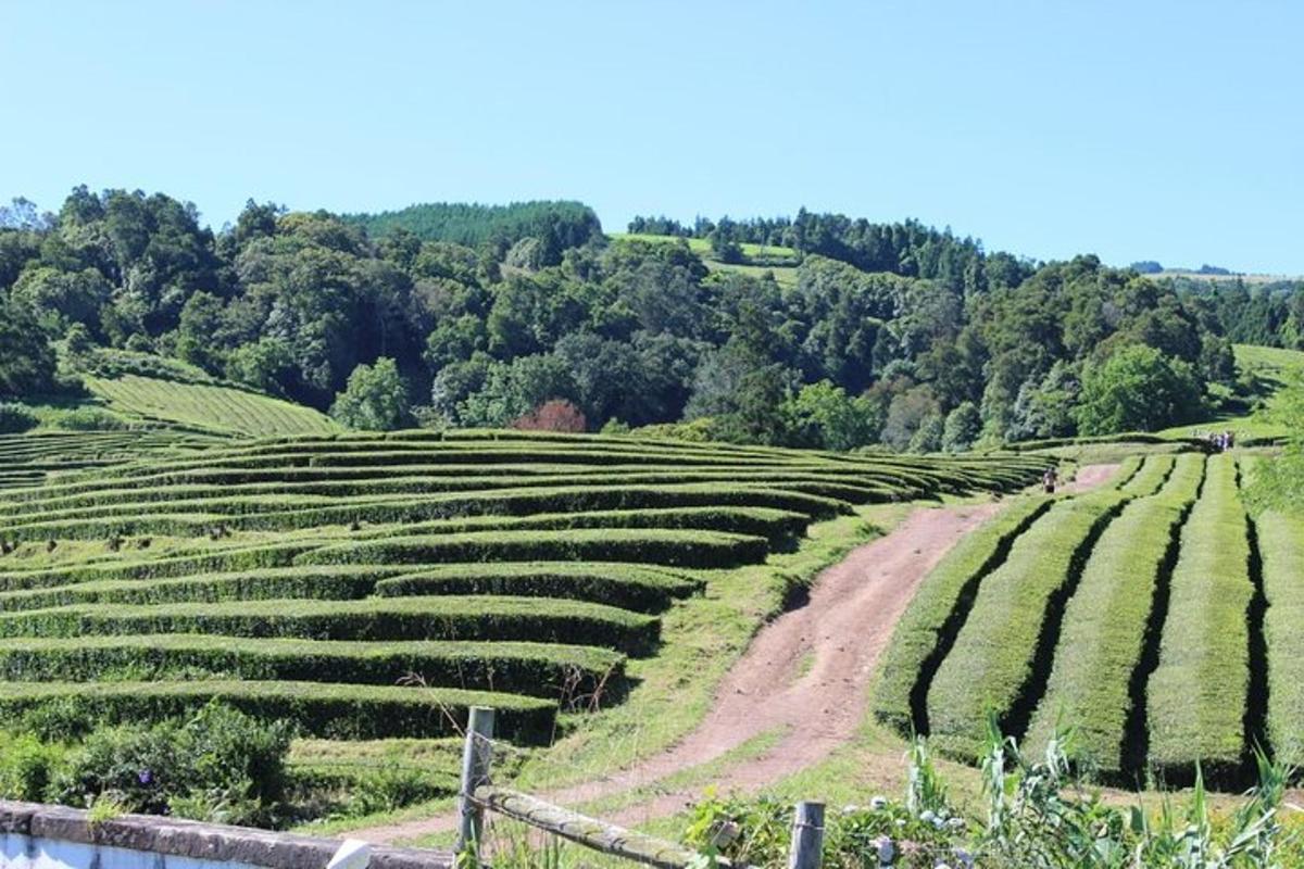 Foto 4 de l'atracció turística