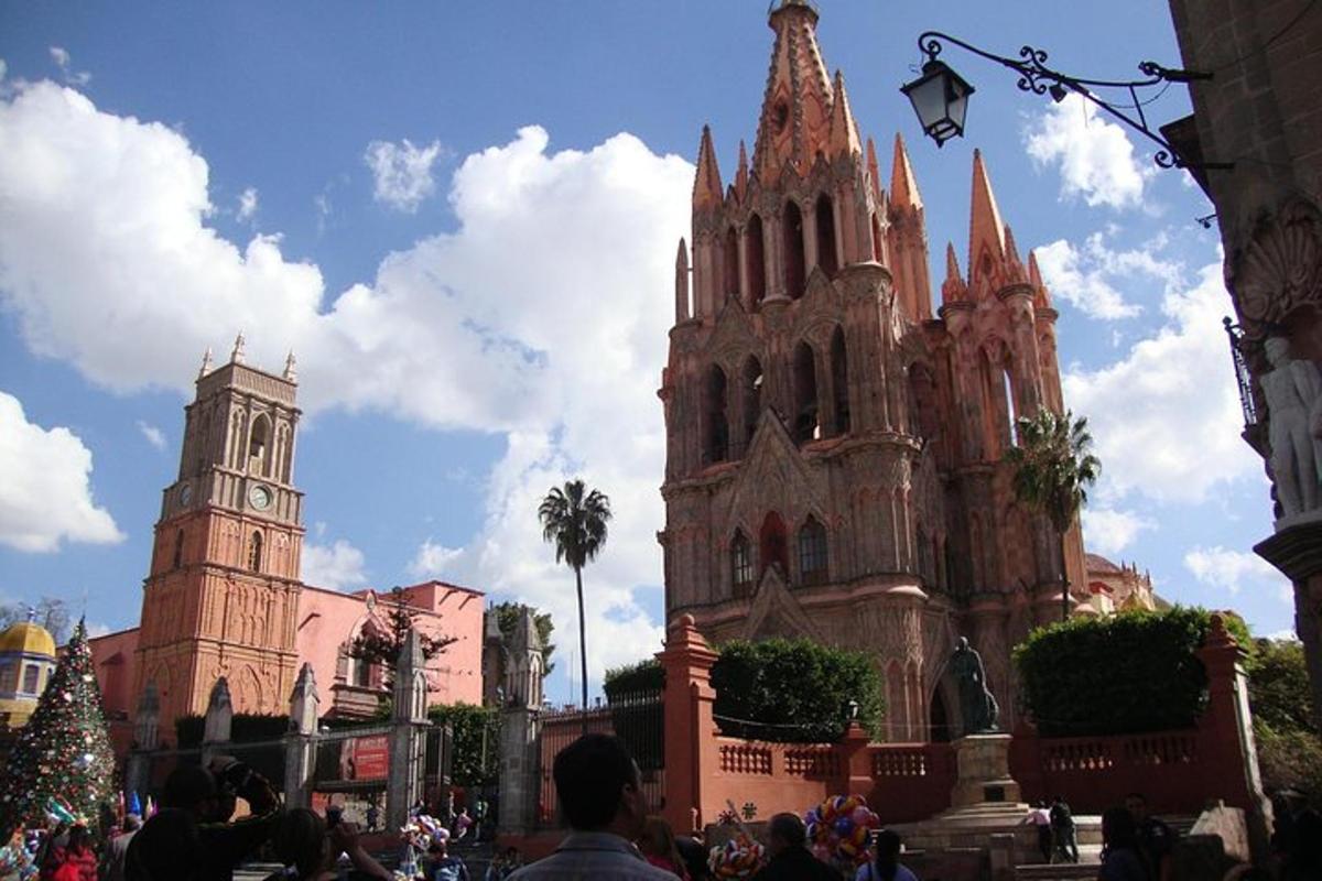 uma grande catedral com uma árvore de natal na frente