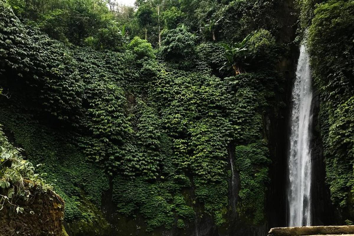 una cascata in mezzo a una foresta