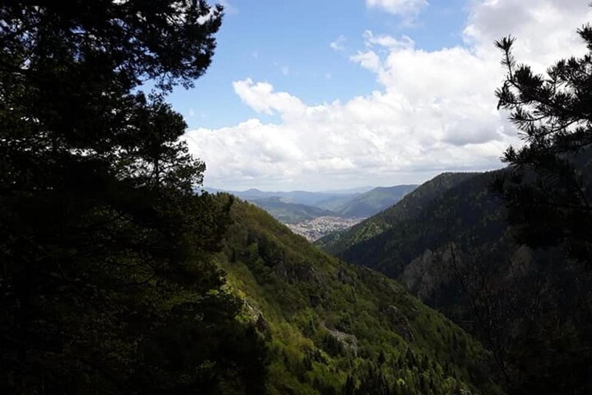 a view of a mountain with trees and a valley