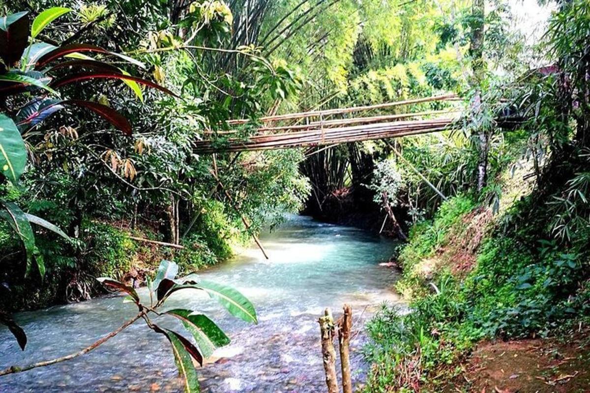 un ponte sopra un fiume nella giungla
