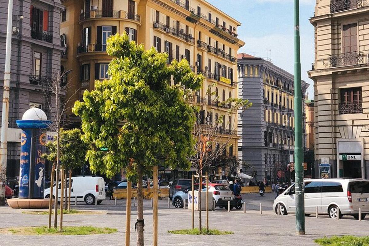 uma rua da cidade com carros, árvores e prédios