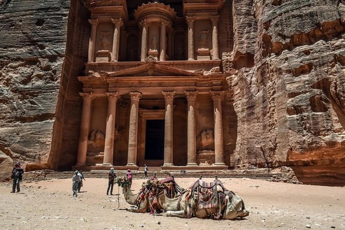 a camel in front of a building in the desert