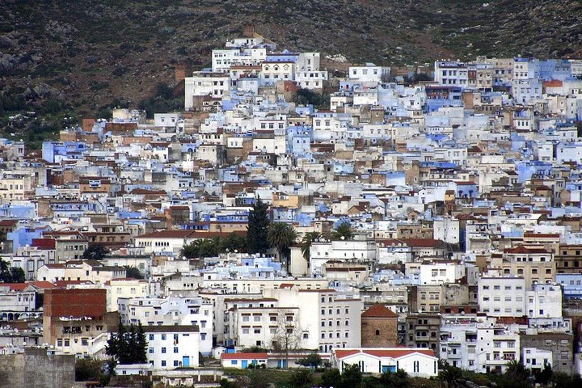pilsēta ar zilām ēkām kalnā