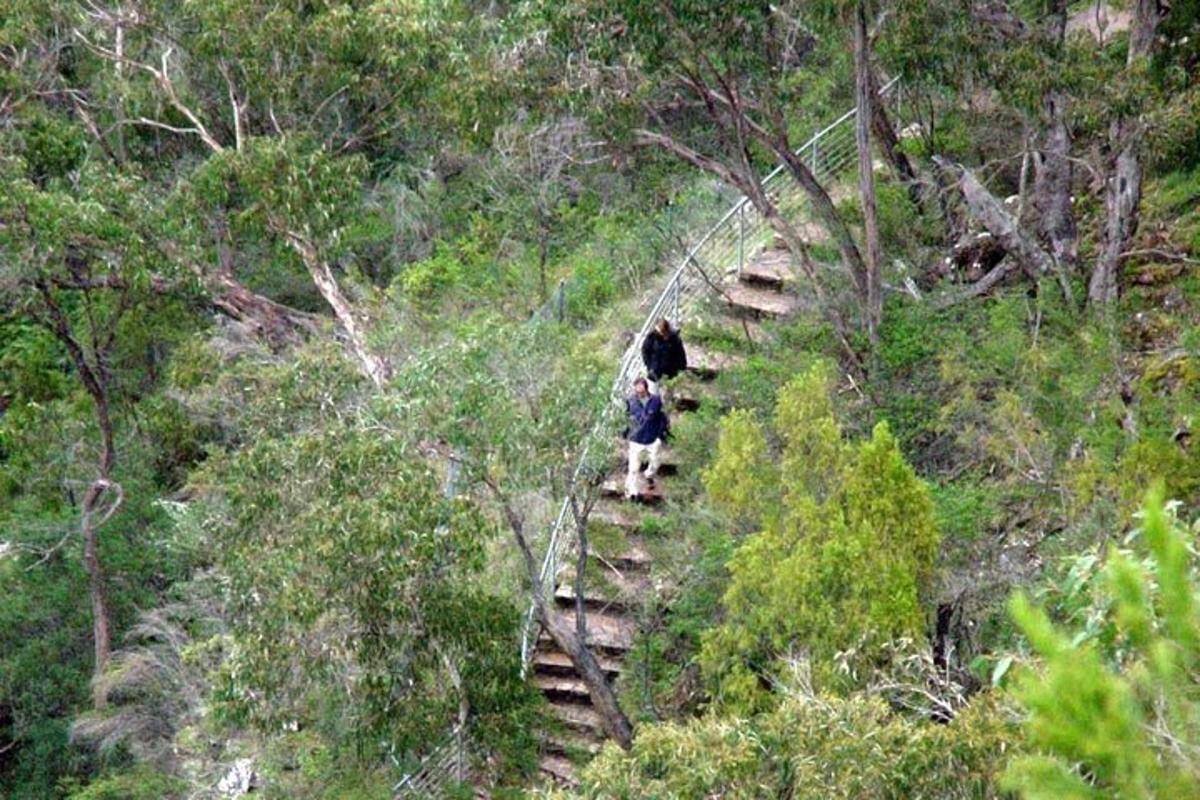 dos personas caminando por un sendero en el bosque