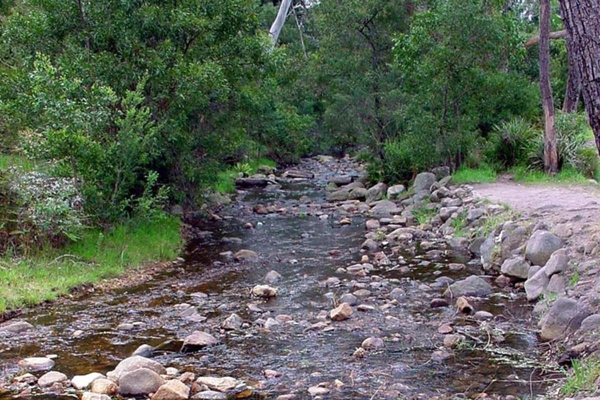 un arroyo de agua con rocas y árboles