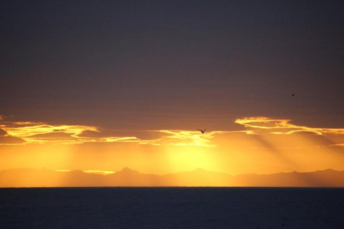 um pôr do sol sobre o oceano com um pássaro no céu