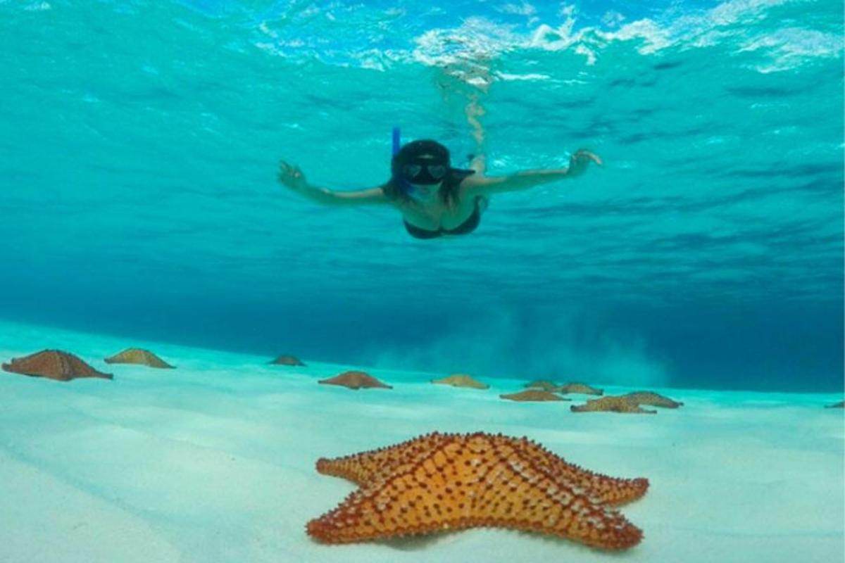 eine Person, die im Meer neben einem Seestern schwimmt