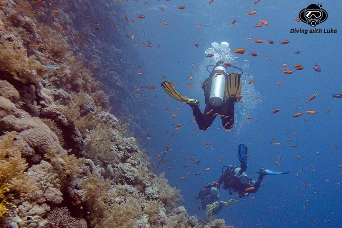 una persona con un sub su una barriera corallina