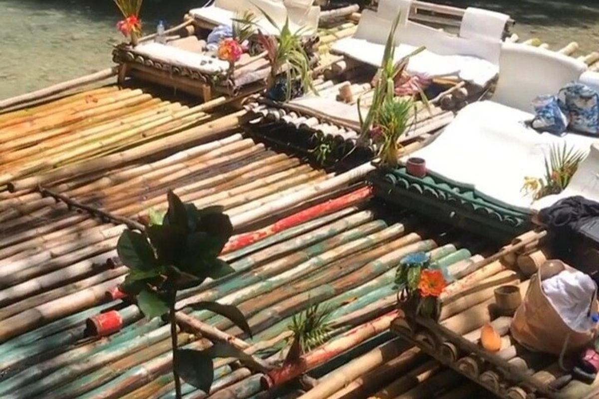 קבוצת מתלים מעץ לבייסבול עם צמחים בתוכם