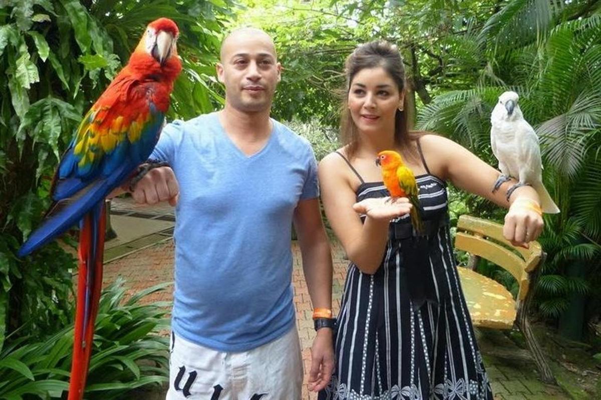 Photo de l’attraction numéro 7.