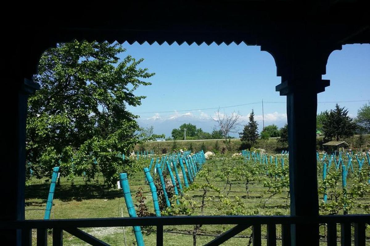 egy farm látképe kék oszlopokkal a mezőn