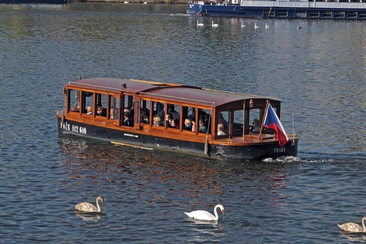 Un barco lleno de gente en el agua con cisnes.