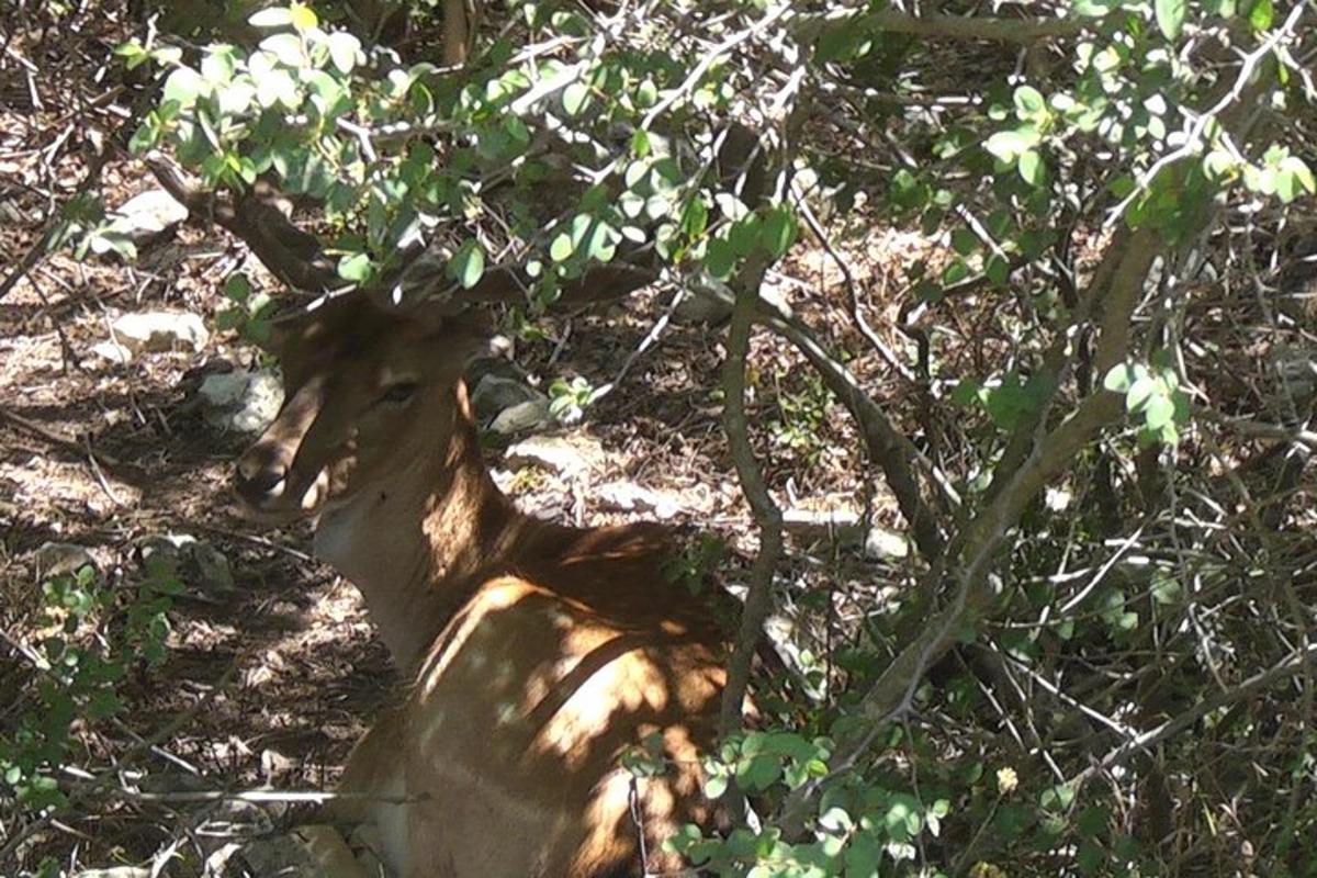 Lankytinos vietos ar pramogos nuotrauka numeris 5