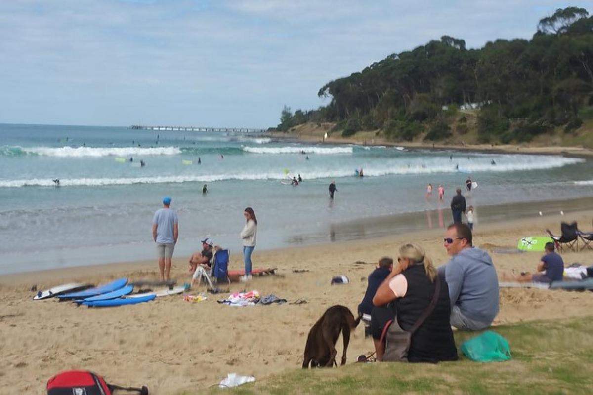 un grupo de personas sentadas en la playa