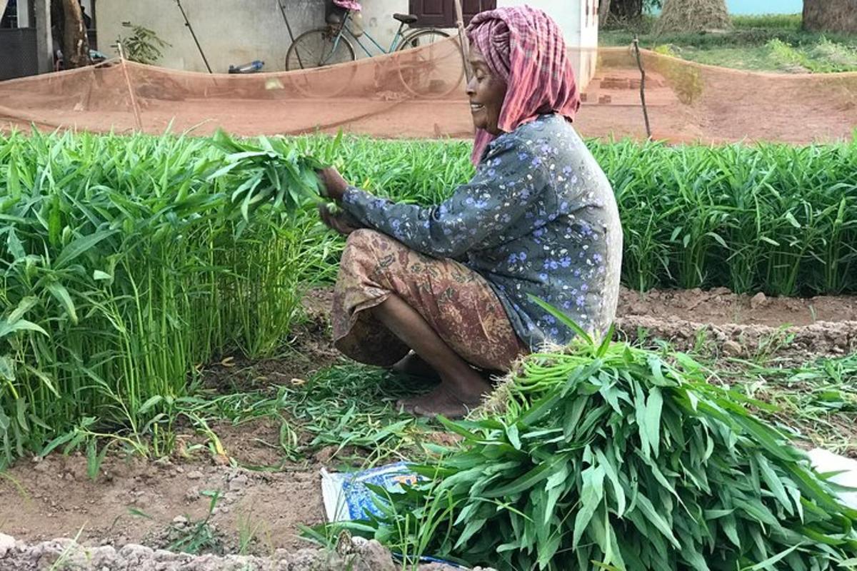 a woman sitting in a field of grass