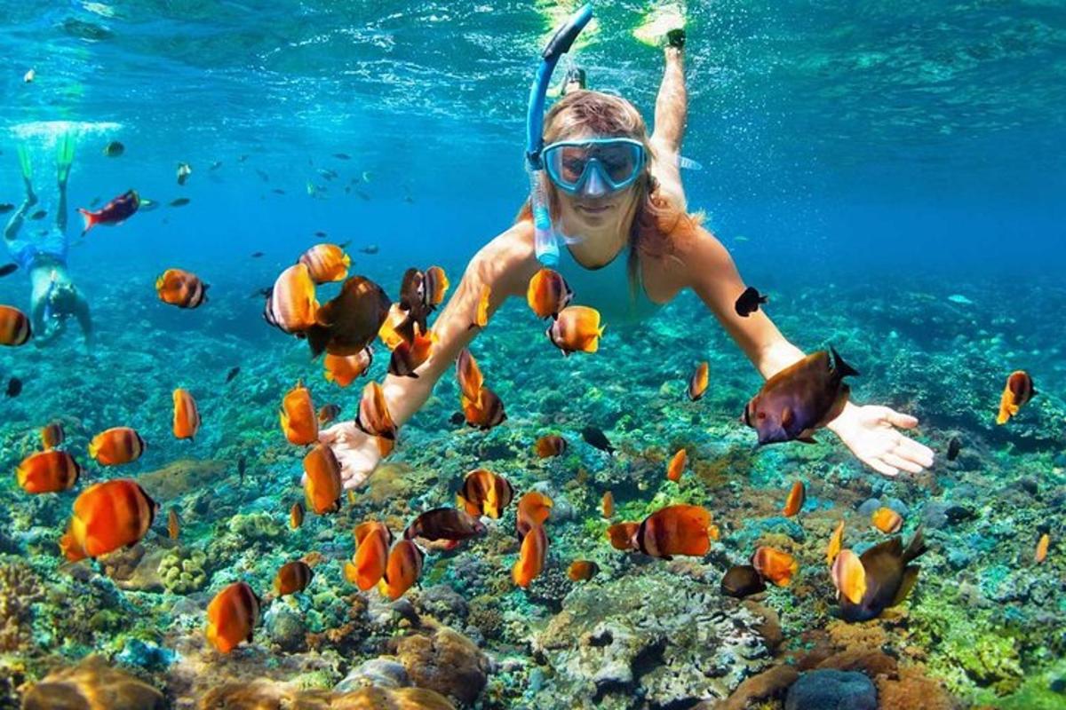 a woman in the ocean looking at fish
