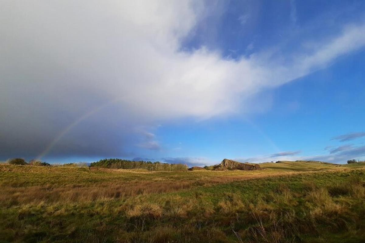 a rainbow in the middle of a field