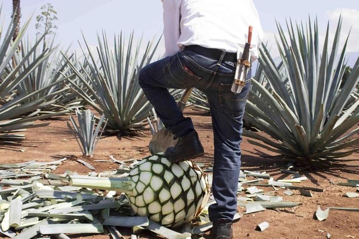 Un hombre está parado encima de una piña.