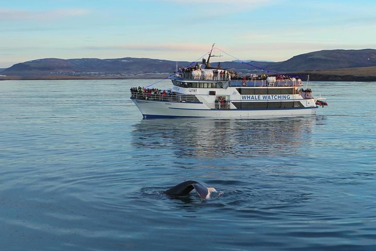 a person swimming in the water in front of a boat