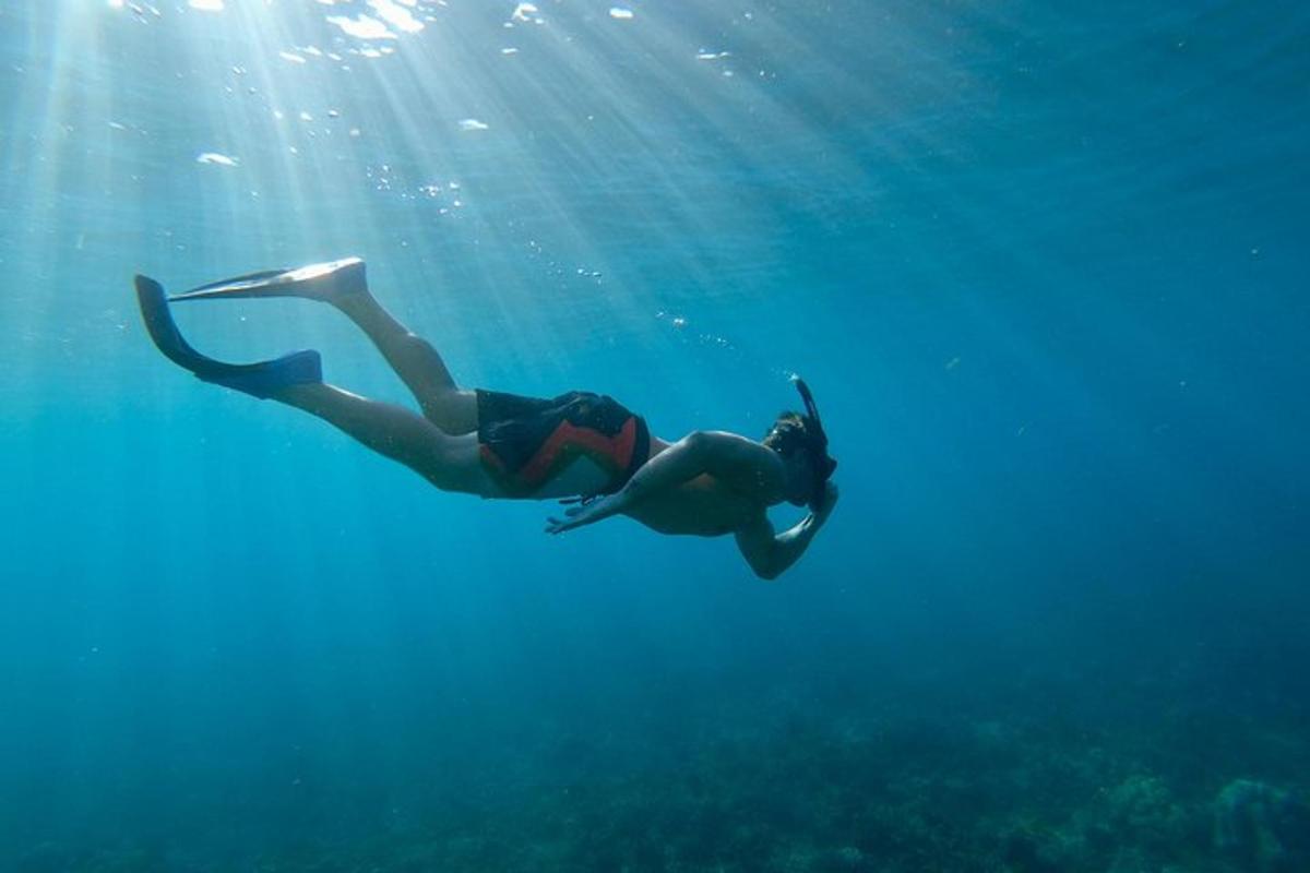 een vrouw zwemt in het water van de oceaan