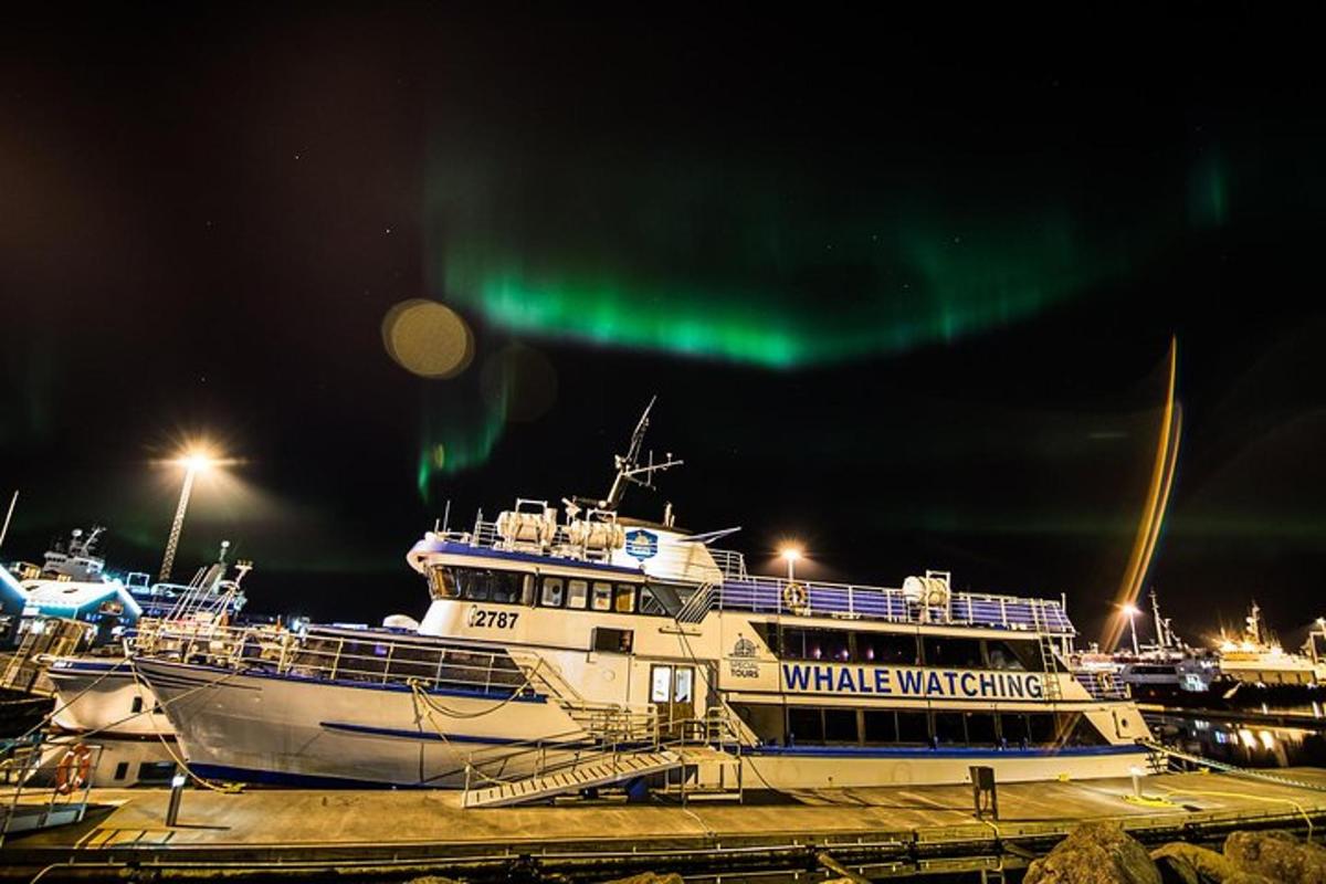 a couple of boats docked in a harbor under the aurora
